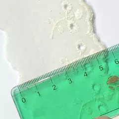 BRODERIE - PUNTILLA - 55 mm