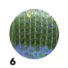 LENTEJUELAS en internet