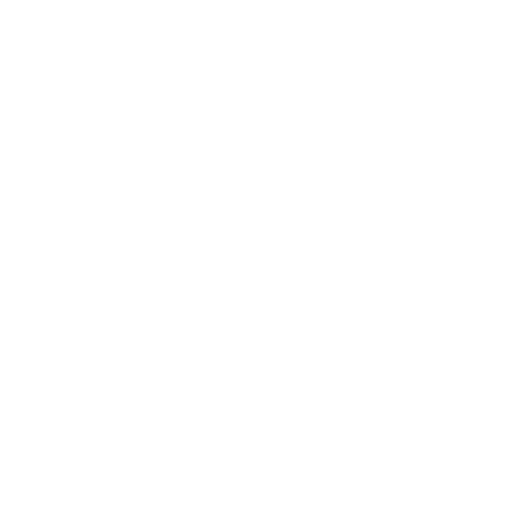 Morena Chic