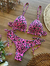 Biquini Cortininha Animal Print Pink na internet