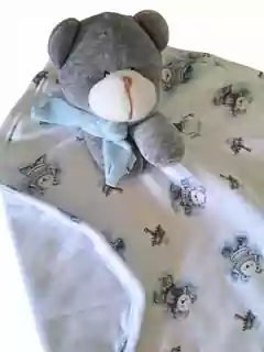 Naninha com prendedor de Chupeta Ursinho Polar na internet