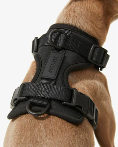 Micro Arnes para mascotas® en internet