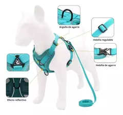 Micro Arnes para mascotas® en internet