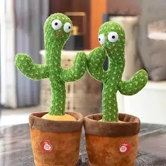 Micro Cactus Bailarin® - comprar online