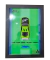 Quadro com miniatura - Mitsubishi Eclipse Velozes e Furiosos - comprar online