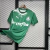 CAMISA EDIÇÃO ESPECIAL PALMEIRAS 24/25 - TORCEDOR MASCULINA - VERDE - comprar online