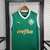 REGATA I SE PALMEIRAS 24/25 - TORCEDOR MASCULINA - VERDE - comprar online