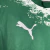 CAMISA EDIÇÃO ESPECIAL PALMEIRAS 24/25 - TORCEDOR MASCULINA - VERDE - loja online