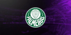 Categoria 8