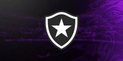 Categoria 2