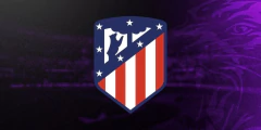 Categoria 26