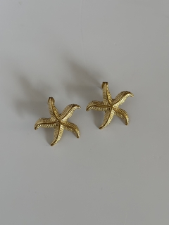 Aretes estrella marina G