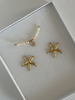 Aretes estrella marina G - comprar en línea