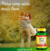 OLEO DE COCO 1000MG 60 CAPSULAS - MAXINUTRI - comprar online
