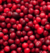 COLLAGEN SKIN CRANBERRY 330G ESSENTIAL na internet