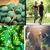 SPIRULINA ORGANICA 100G 200 TABLETES - PURAVIDA na internet