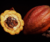 CACAO WHEY LATA 840G ESSENTIAL na internet