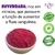 PRÉ-TREINO NATURAL POWER 320G - CAJU na internet