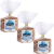 KIT 3X Biscoito Stroopwafel 230g - Moinho Wafers