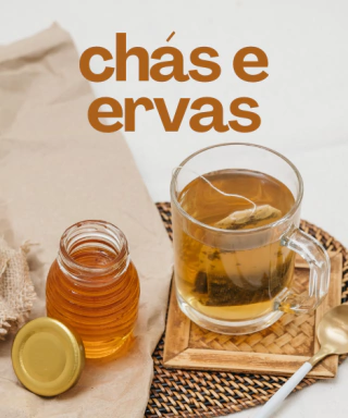 Categoria 6