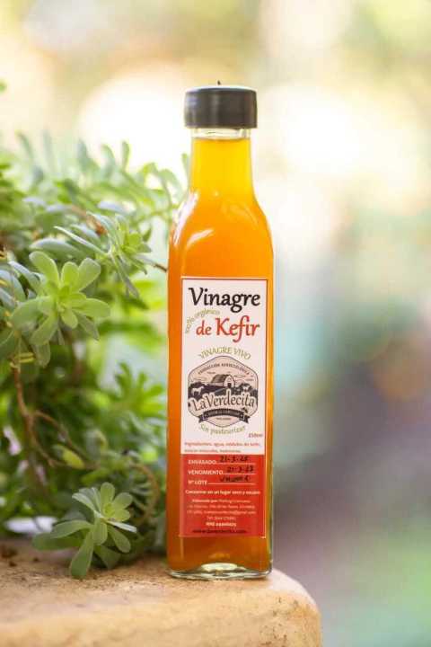 Vinagre Vivo de Kefir - comprar online