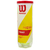TUBO BOLA TENIS WILSON CHAMPIONSHIP COM 3