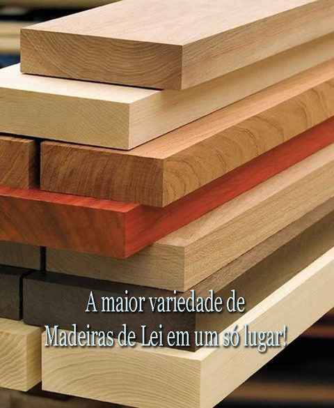 Carrossel 1