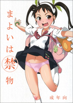 MAYOI WA KINMOTSU - MONOGATARI SERIES
