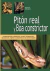 PITON REAL Y BOA CONSTRICTOR