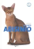 EL GATO ABISINIO - comprar online