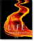LIFE