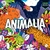 COLOR BLOCK - ANIMALIA
