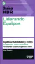 LIDERANDO EQUIPOS