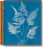 ANNA ATKINS