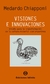 VISIONES E INNOVACIONES