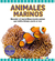 ANIMALES MARINOS