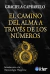 EL CAMINO DEL ALMA A TRAVES DE LOS NUMEROS