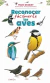RECONOCER FACILMENTE LAS AVES