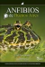 ANFIBIOS DE BUENOS AIRES