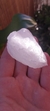 Piedra de alumbre mediana (piedra efecto desodorante)