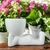 Imagem do Vaso Cerâmica Decorativo para Plantas 12x7x8.5cm