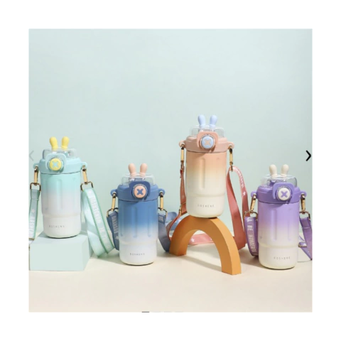 Termo de Acero Inoxidable Degradé con Sorbete 400ml (csc)