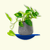 Estante Aloe - tienda online