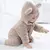 Macacão Pelúcia Urso - comprar online