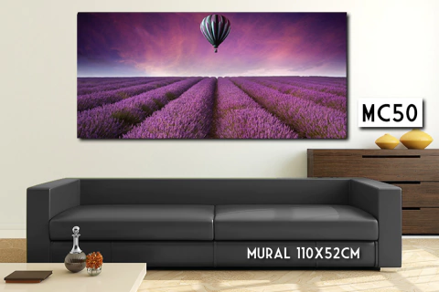 MC50 - Campo de lavanda