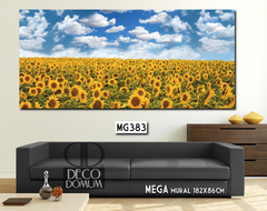 MG383 - Girasoles