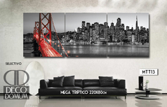 MTT13 - Puente Golden Gate - comprar online