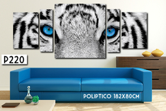 P220 - Tigre ojos azules