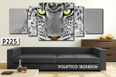 P225 - Ojos Leopardo