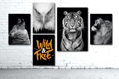 SET02 - Frases Animales - comprar online